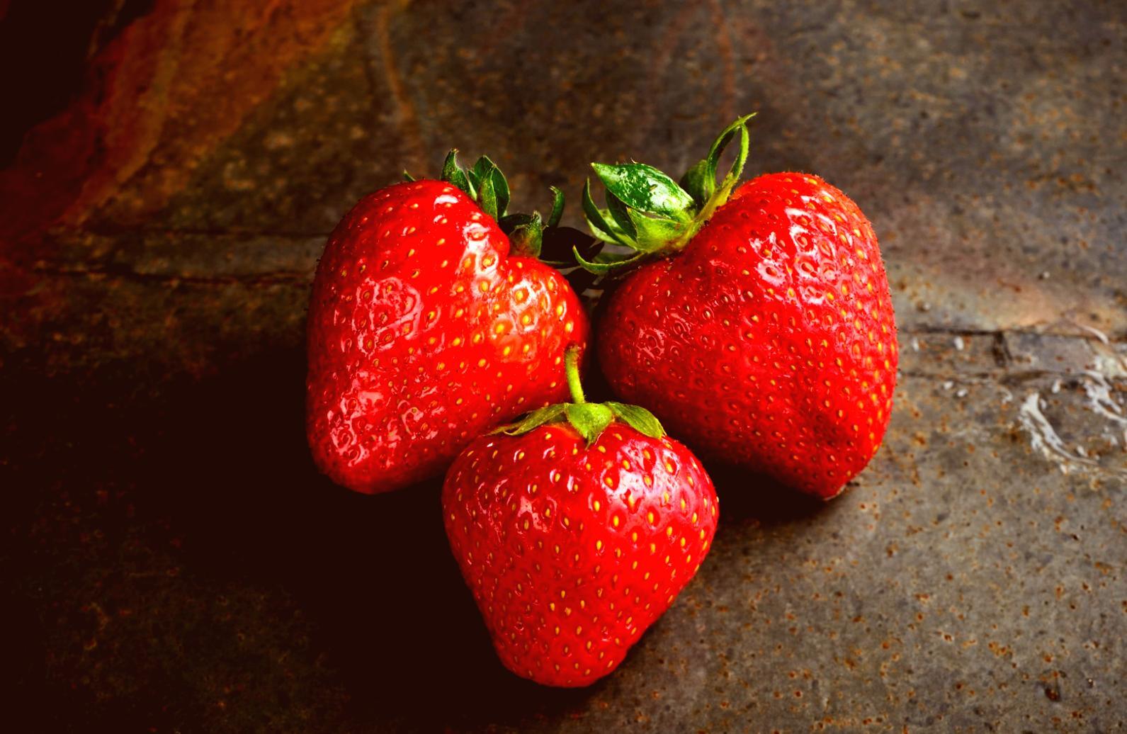 Szczegółowy program szkolenia żywieniowego